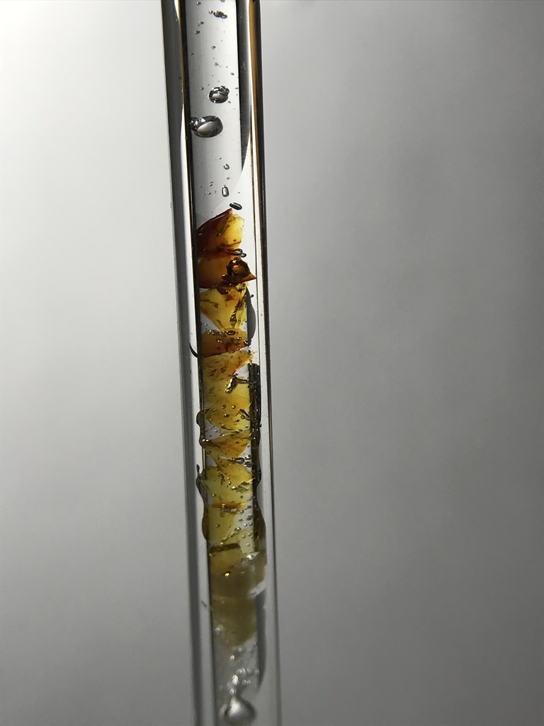 【レビュー用試作品】(訳あり)琥珀入り試験管B