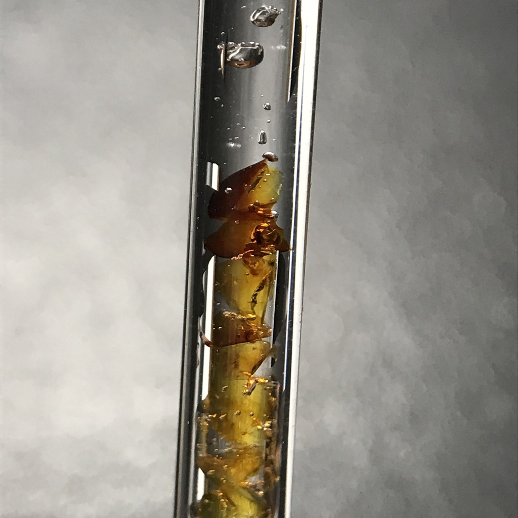 【レビュー用試作品】(訳あり)琥珀入り試験管B