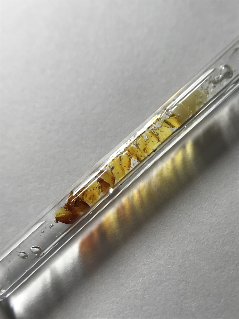 【レビュー用試作品】(訳あり)琥珀入り試験管B