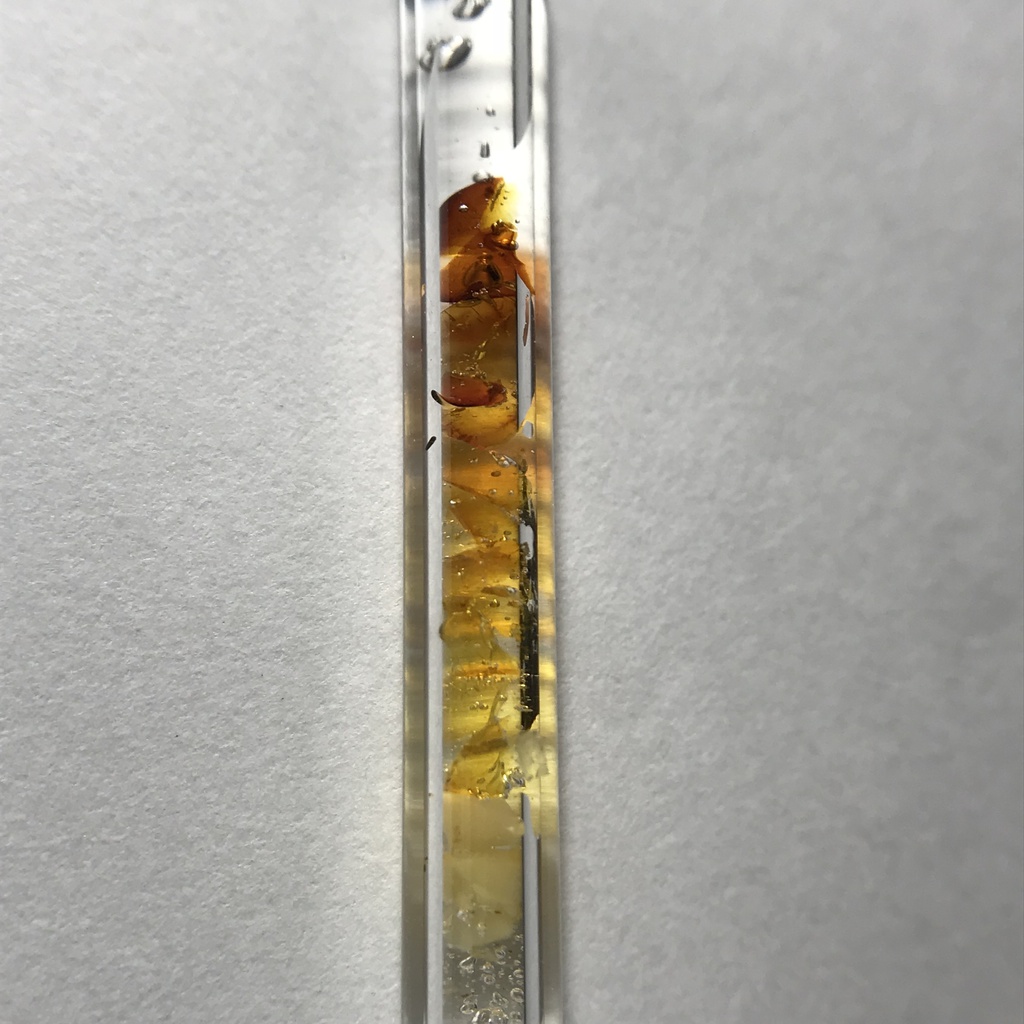 【レビュー用試作品】(訳あり)琥珀入り試験管B