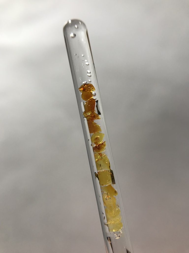 【レビュー用試作品】(訳あり)琥珀入り試験管C