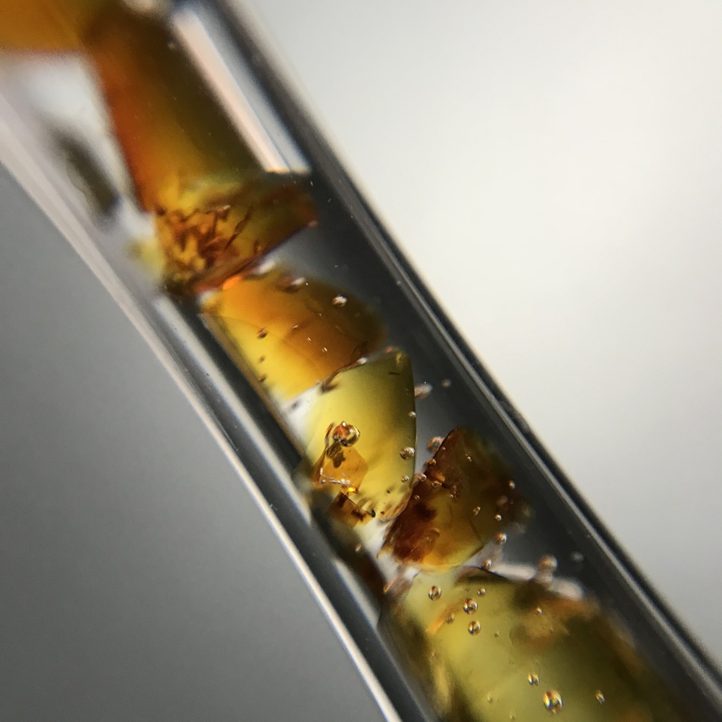 【レビュー用試作品】(訳あり)琥珀入り試験管C