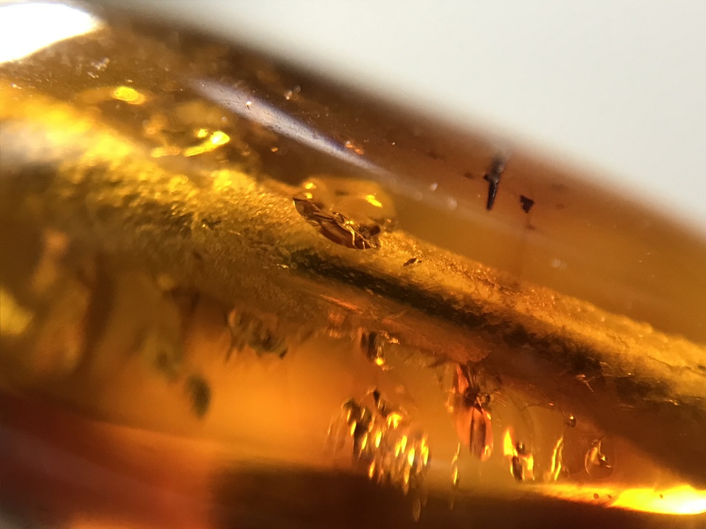 【試作品】琥珀と菱形のメタルパーツのフェイクピアス