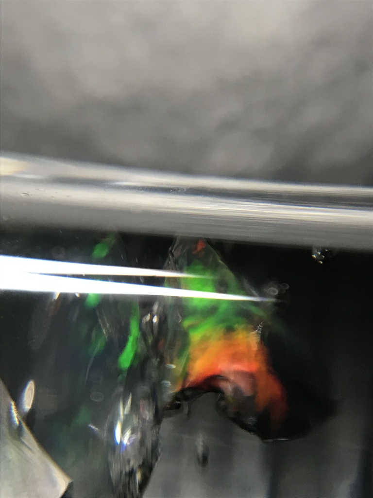 オパール入り試験管(中)D