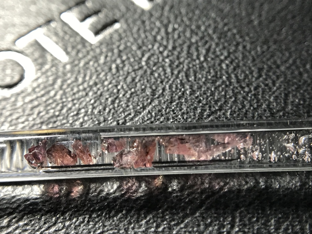 (訳あり)ロードナイト入り試験管