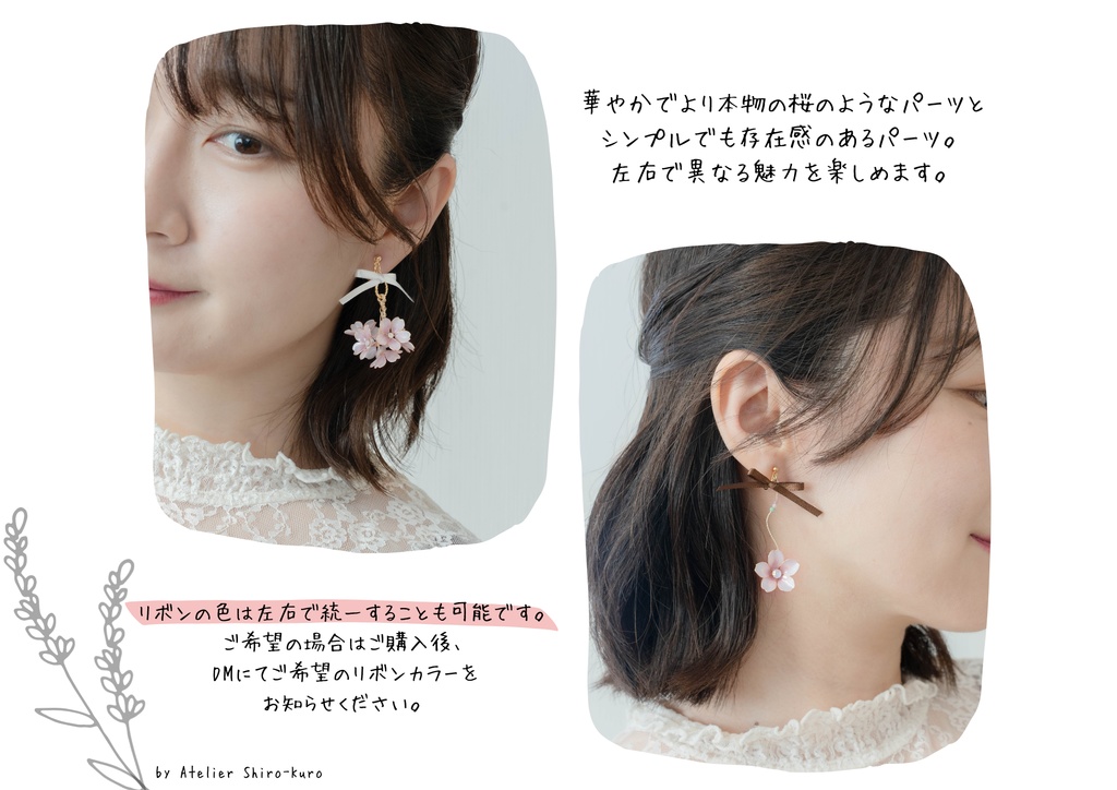 雑伊の桜【2026ver.】