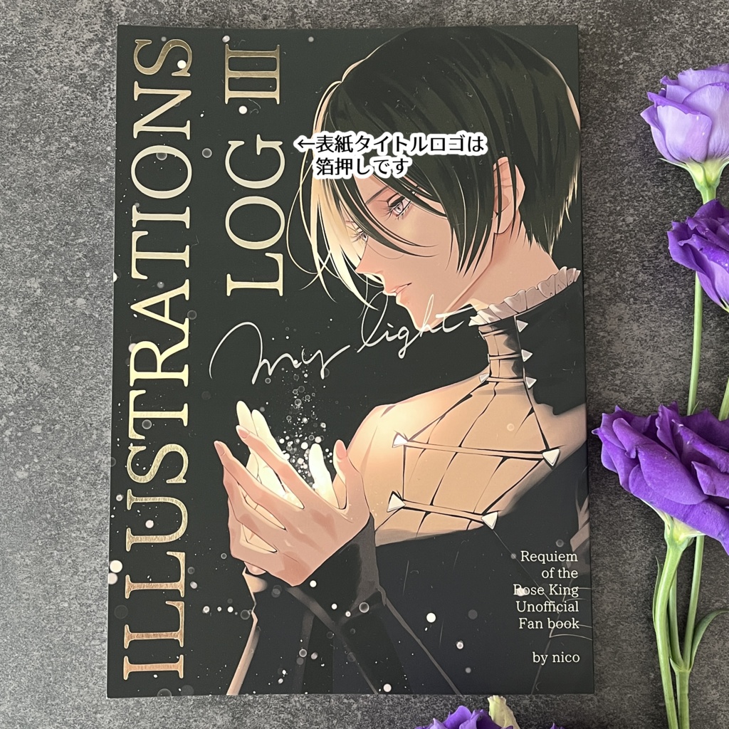 ILLUSTRATIONS LOG Ⅲ