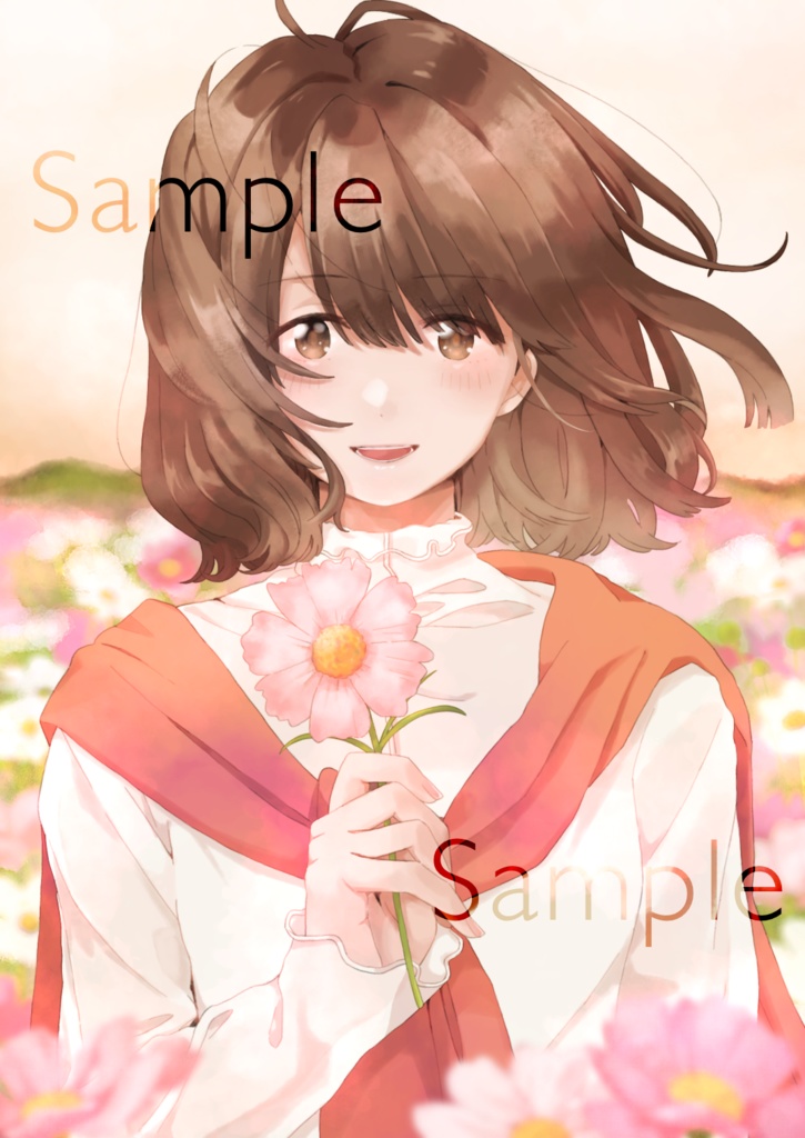 ポストカード『秋桜』