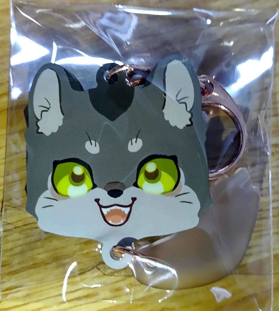 ニャチとジワルアクキー