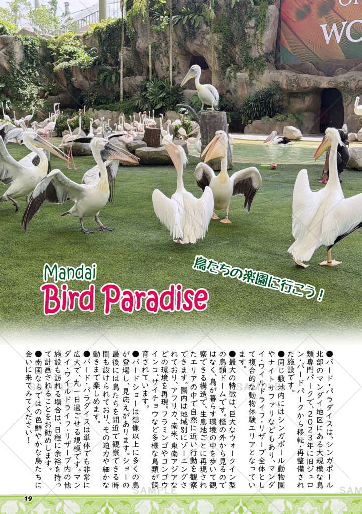 シンガポールのアレコレ