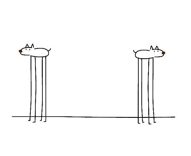 脚の長い犬のTシャツ。