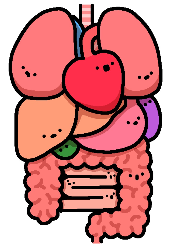 臓器ちゃんたちのTシャツ。