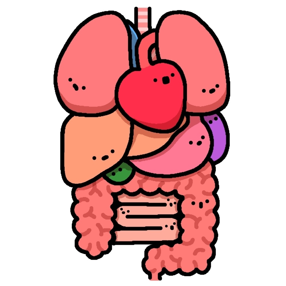 臓器ちゃんズのアクリルキーホルダー。