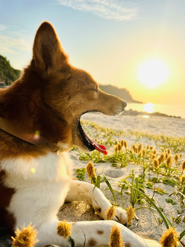 オリジナルTシャツ