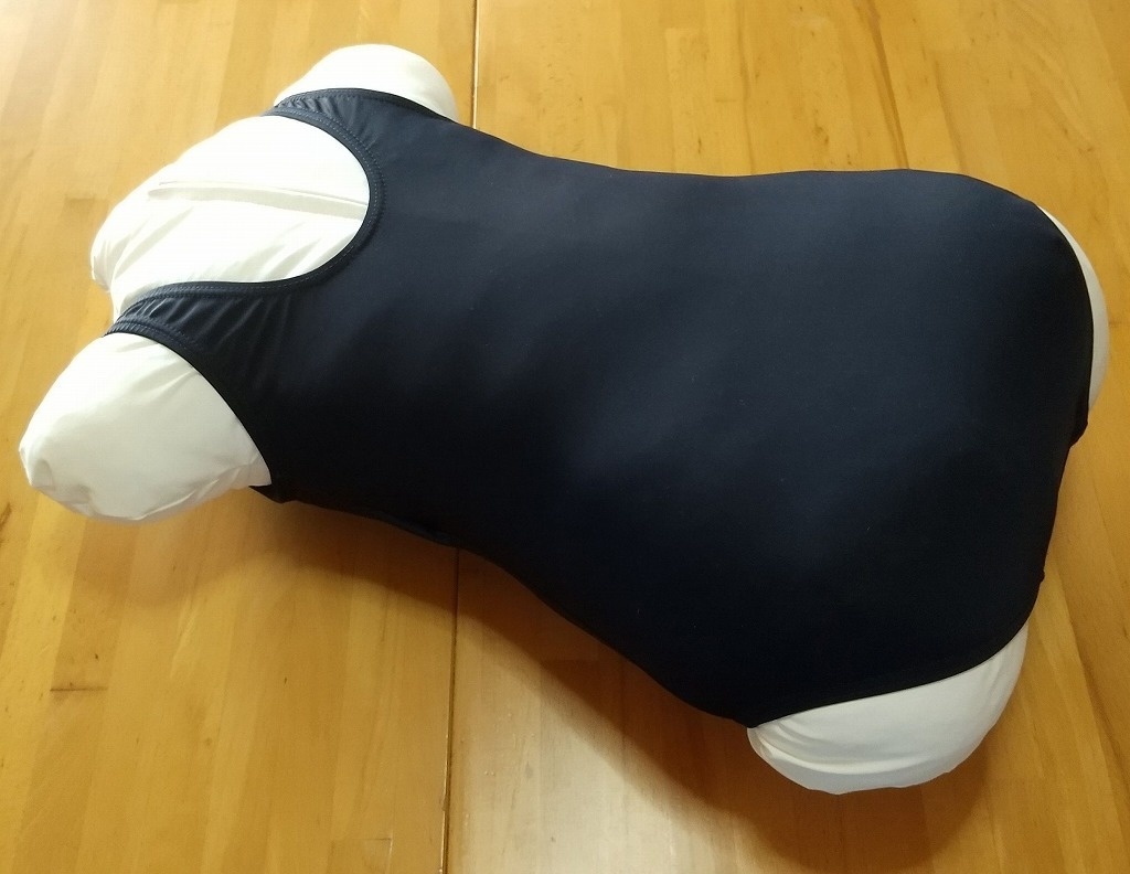 もちもち身体枕+スク水