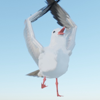 アニメ付き カモメの3Dモデル