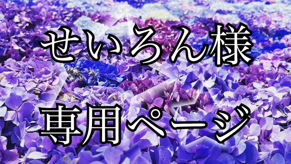 せいろん様専用ページ