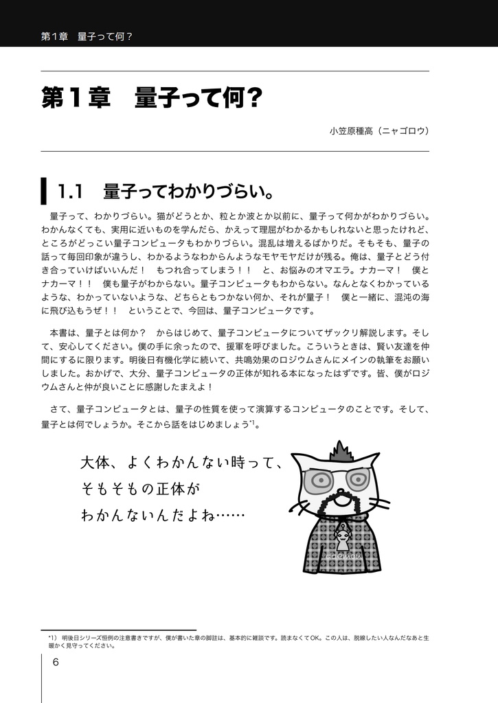 明後日からわかる量子コンピュータ入門