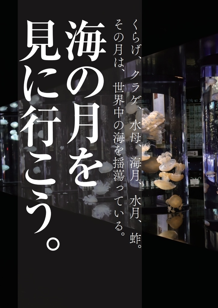 ぼくはクラゲが好き2