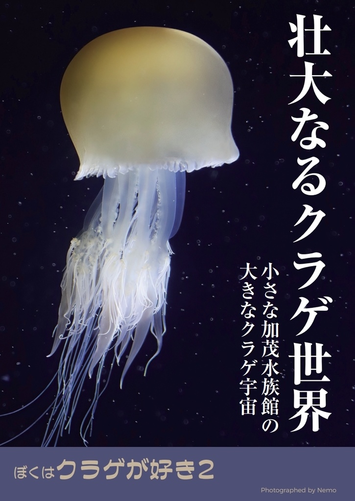 ぼくはクラゲが好き2