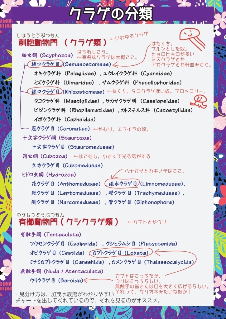 ぼくはクラゲが好き2