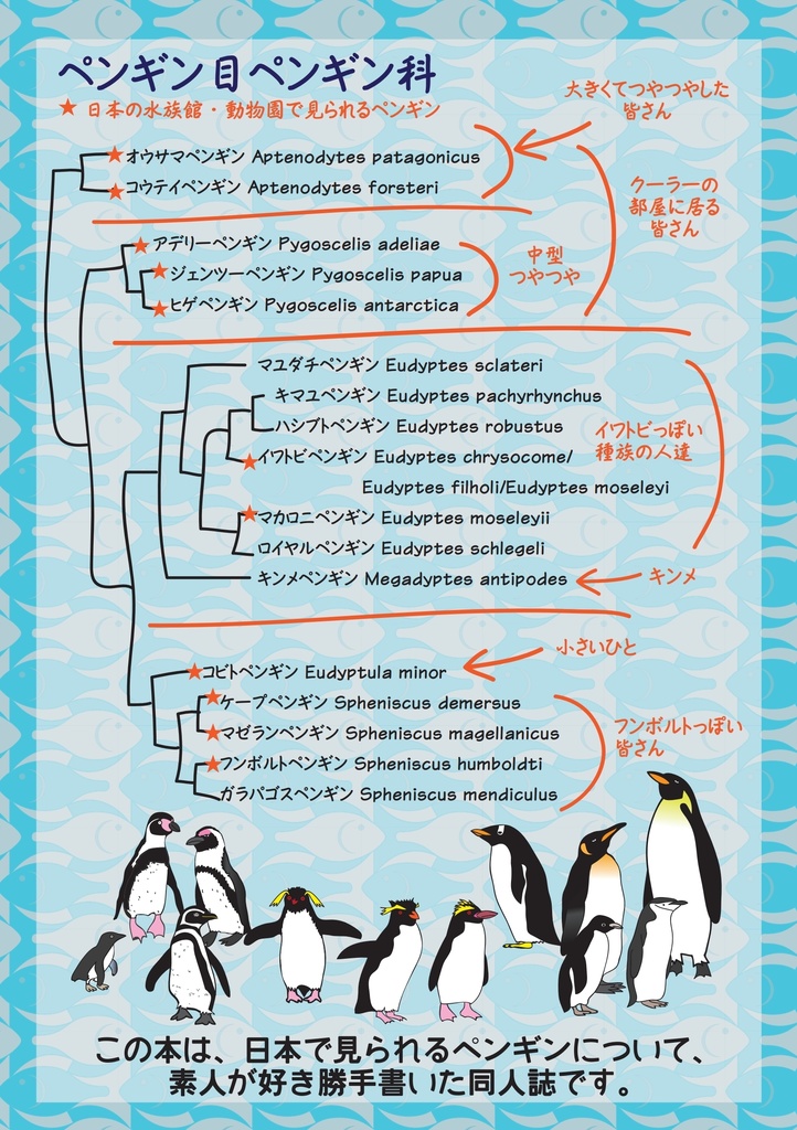 僕のペンギン研究日誌