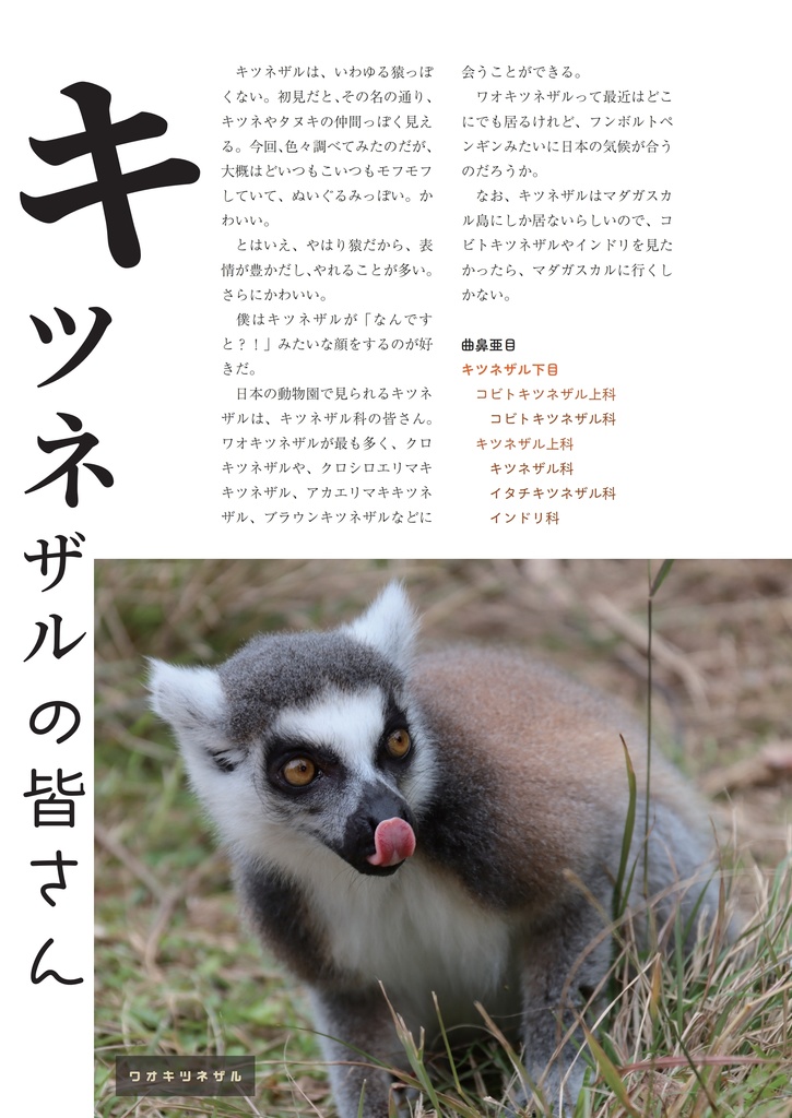 ぼくはお猿が好き