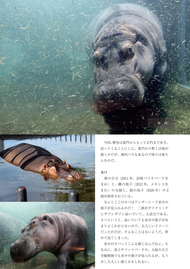 でっかいどう動物園(ぼくの二万里旅日記 Vol.1)