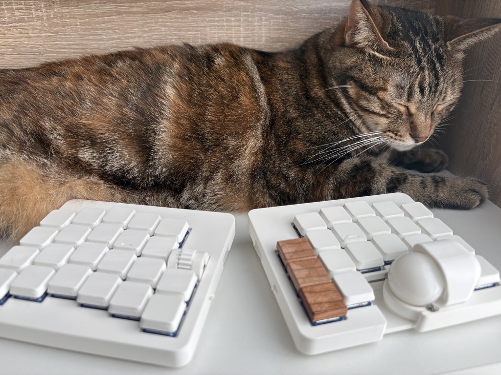 BobTailESC ─ トラックボール付きワイヤレス分割キーボード【完成品・はんだ付け不要】