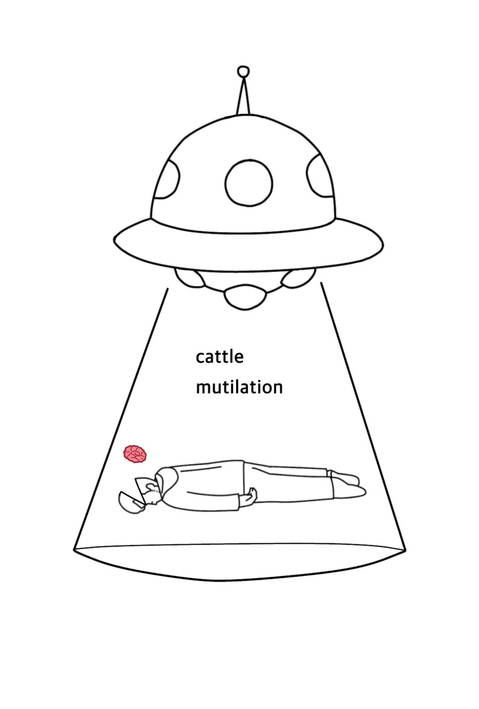 ポストカード 抜き取られ