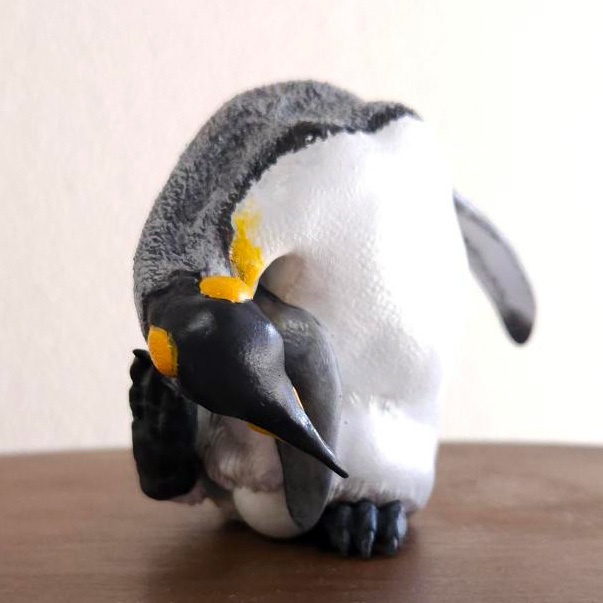 卵を気にしながら頭をかくキングペンギン