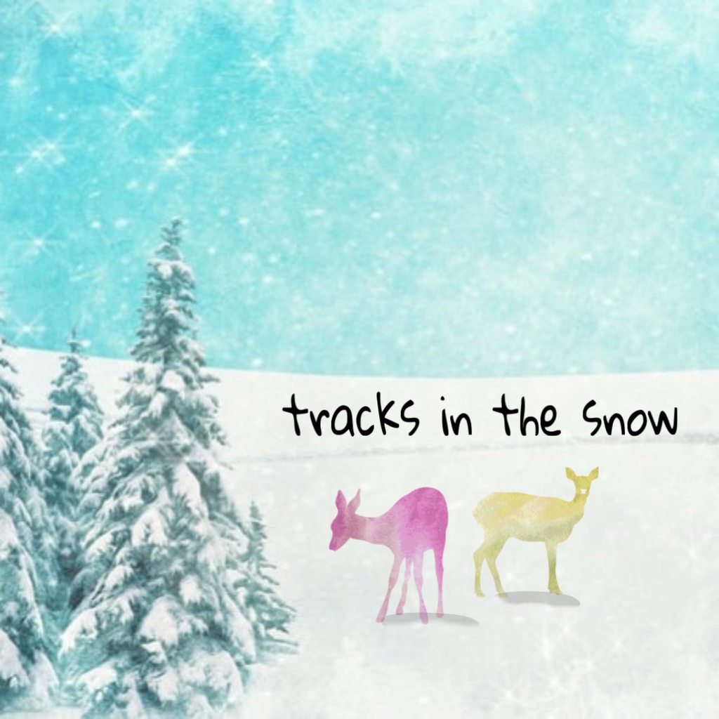 tracks in the snow