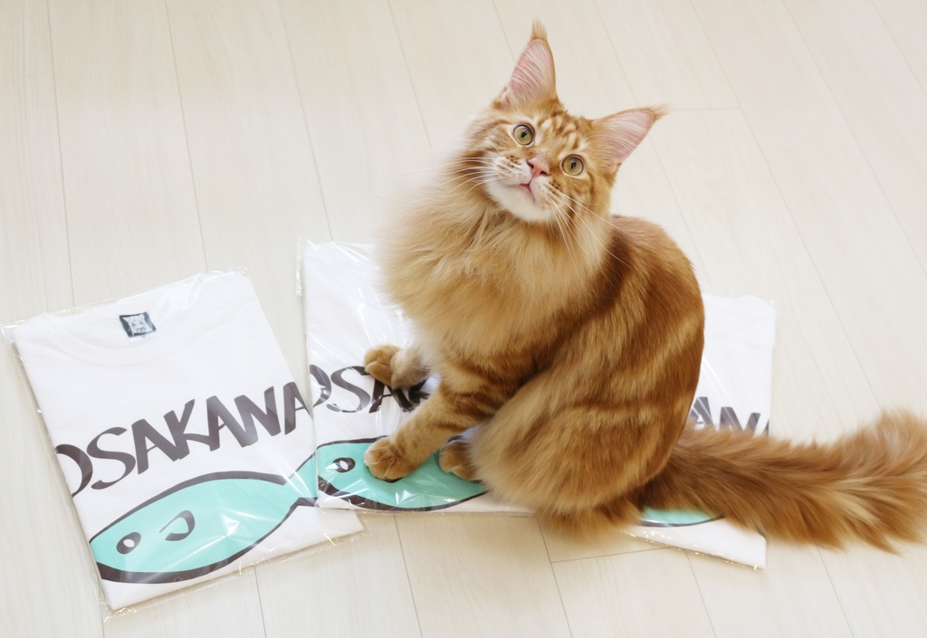 きなこのおさかなTシャツ/Kinako's OSAKANA T-shirt