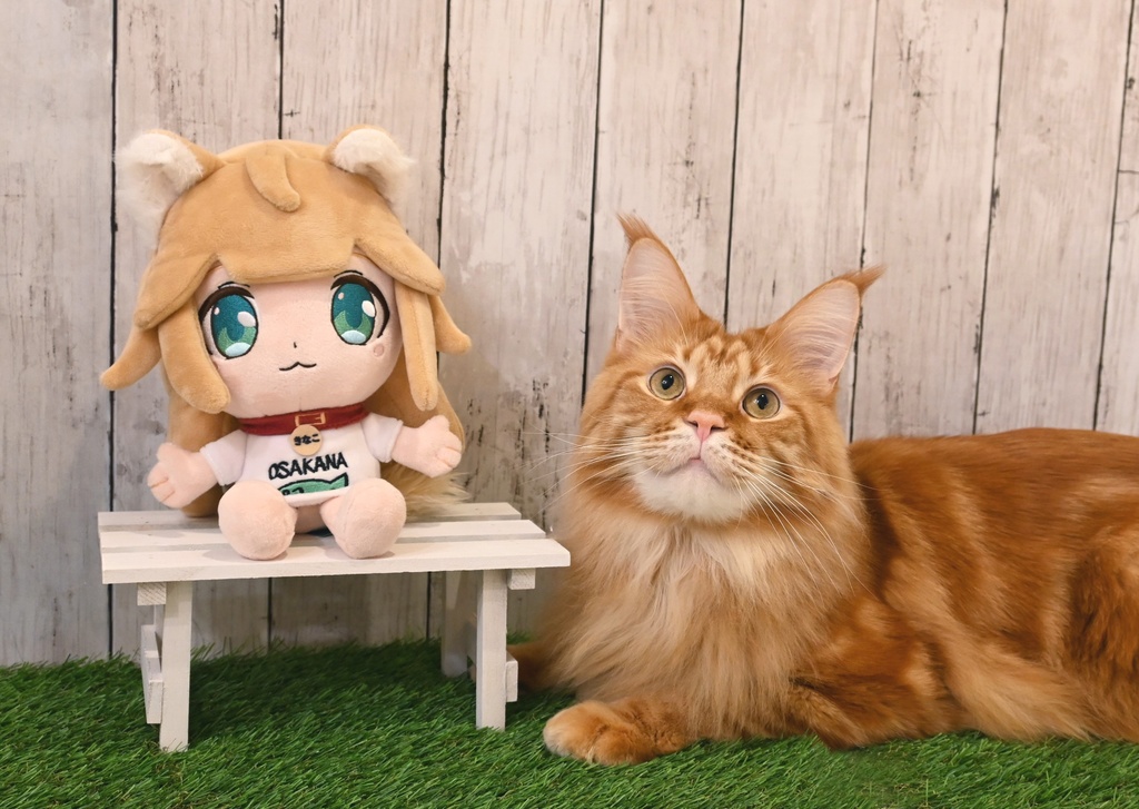 きなこぬいぐるみ