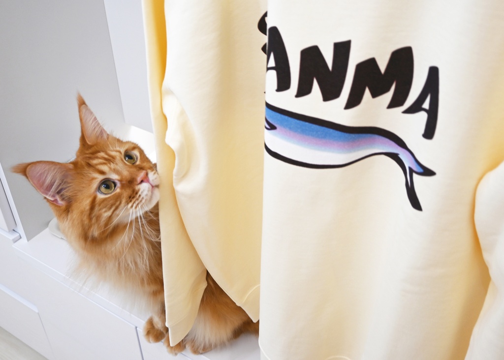 きなこのSANMAトレーナー/Kinako's SANMA sweatshirt