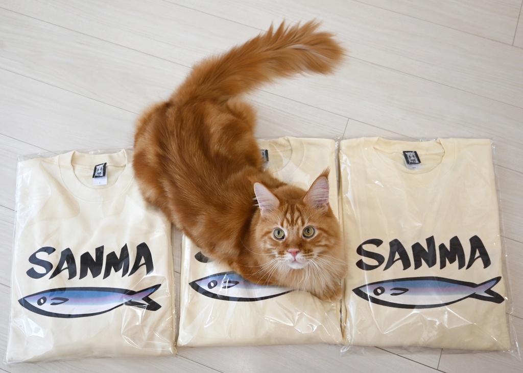 きなこのSANMAトレーナー/Kinako's SANMA sweatshirt