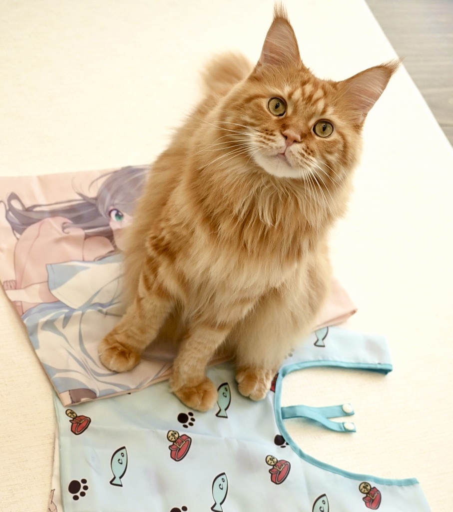 【C108】うちのねこが女の子でかわいい「きなこ」グッズ4点セット