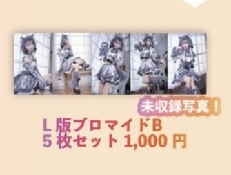 【ゲマコス】未公開ブロマイドBウルフキャット