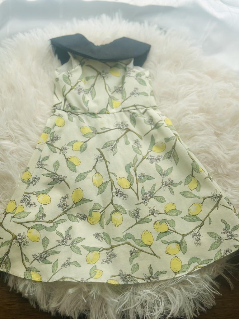 ビックカラーワンピース