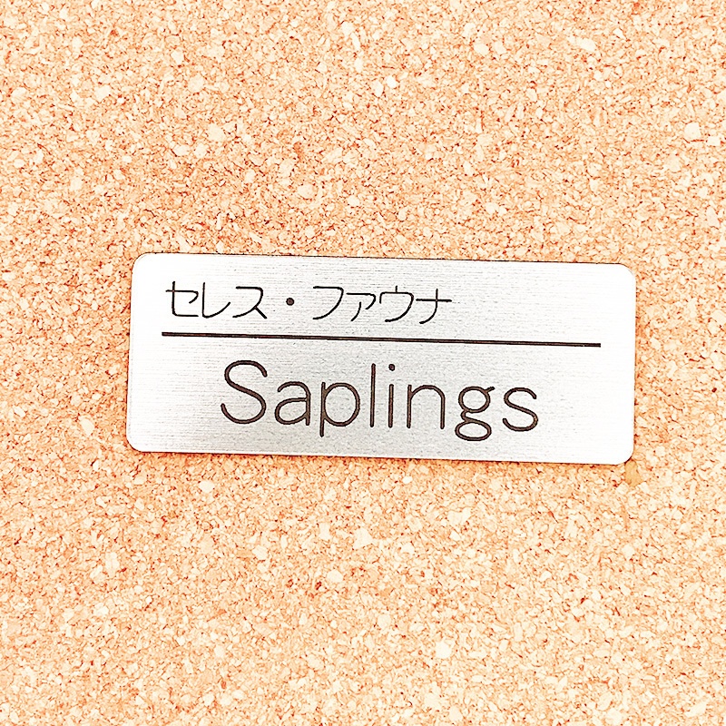 非公式・ホロライブENファンネーム名札(Council)