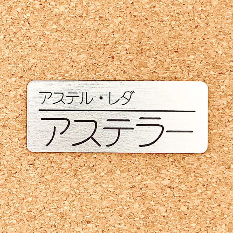 非公式・ホロスターズファンネーム名札(2期生)