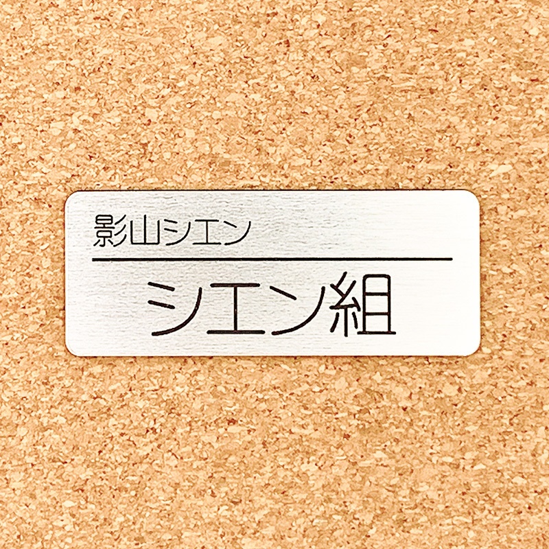 非公式・ホロスターズファンネーム名札(3期生)