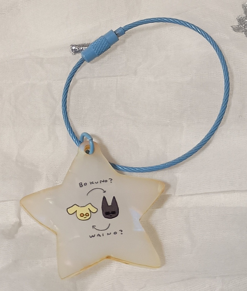 🌟僕の❓わいの❓アクキー🌟