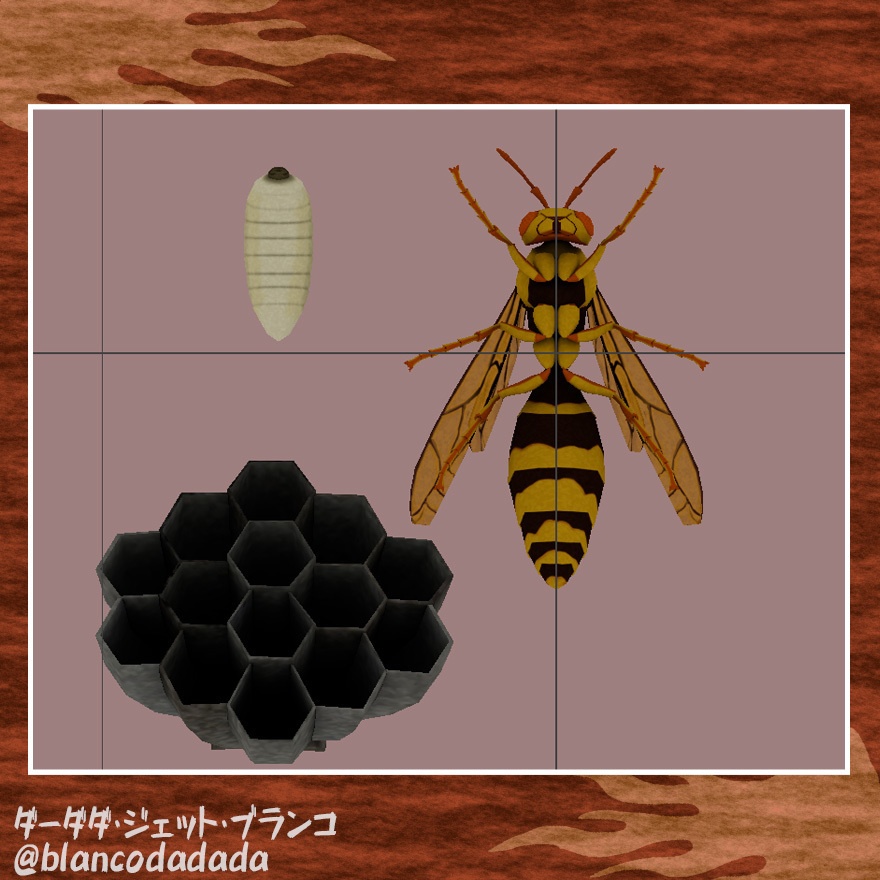 アシナガバチと巣と幼虫のセット