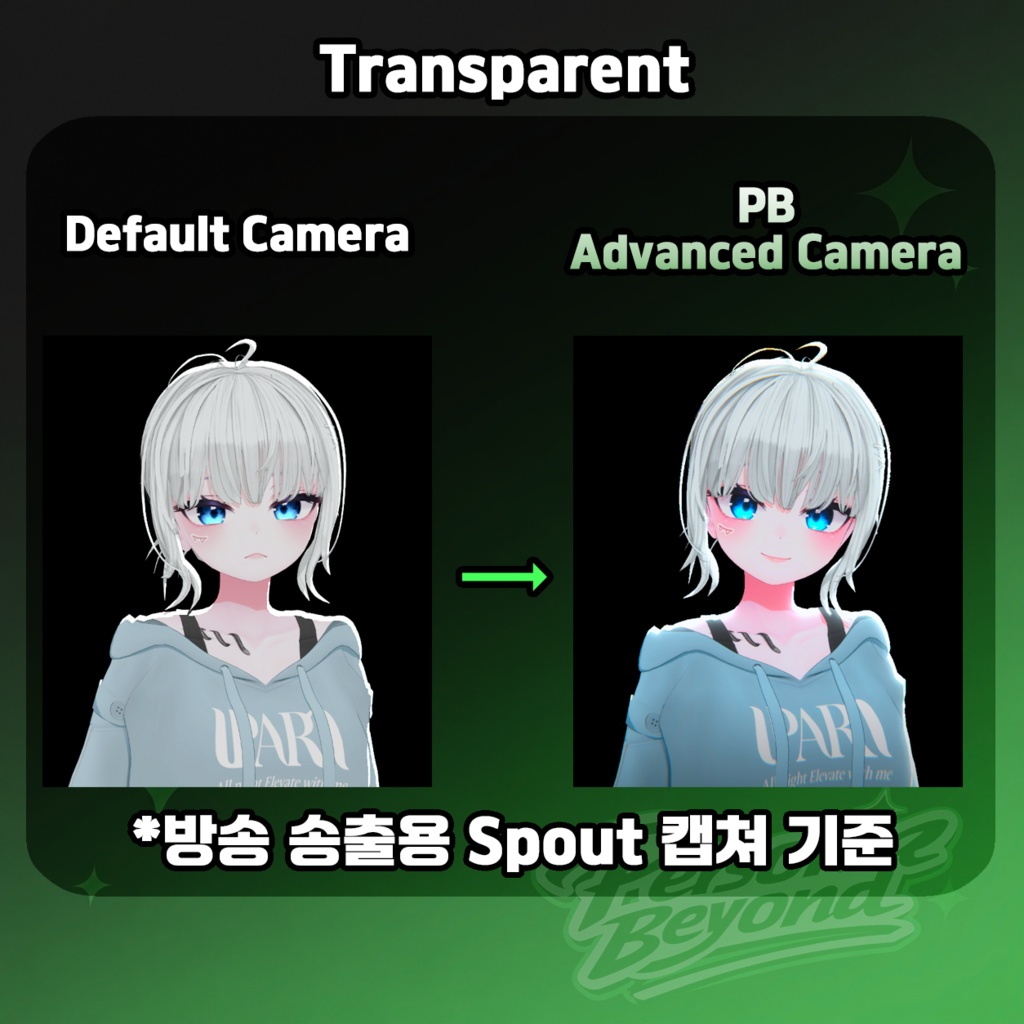 Warudo Advanced Camera