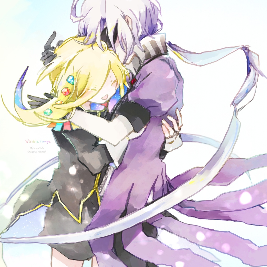 【　Visible range　】