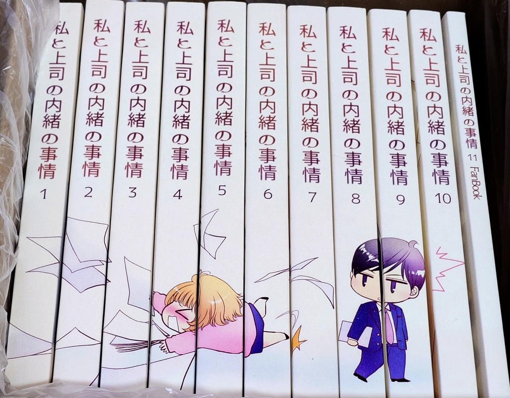 【12月19日20時発売開始】私と上司の内緒の事情 全10巻＋FANBOOKセット