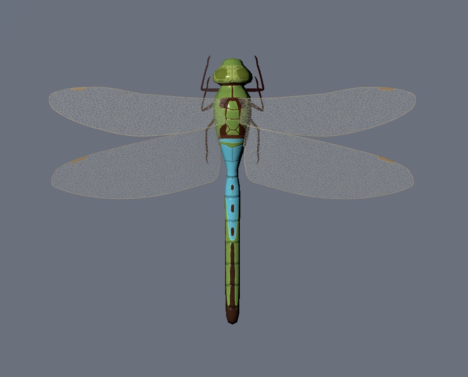 Dragonflies | トンボ