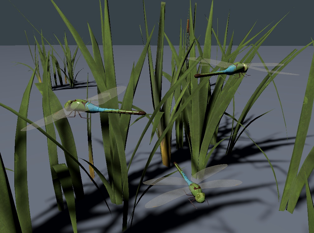 Dragonflies | トンボ