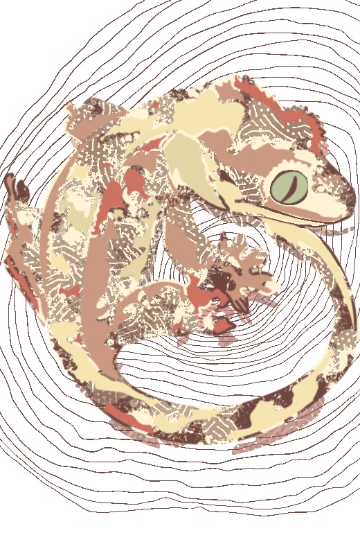 クレステッドゲッコー